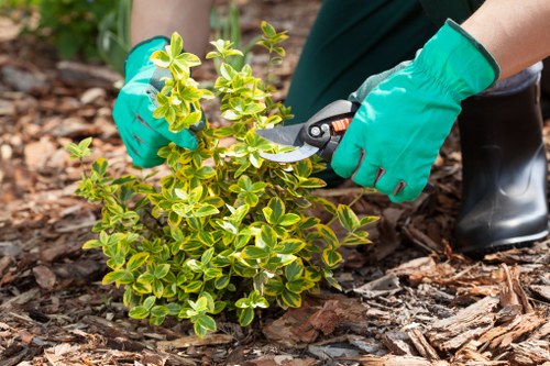 Policy document with a garden background