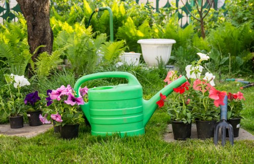 A garden scene featuring a variety of potted flowering plants with vibrant purple, pink, and white blooms arranged along the edge of a lush, green lawn. In the center, a bright green plastic watering can rests on the grass, surrounded by additional potted plants and small gardening tools, including a black rake with a red handle. The background showcases dense greenery with various trees, shrubs, and a white ceramic birdbath positioned amid the foliage, indicating a well-maintained outdoor space typical of a suburban garden in Seven Kings. The garden appears to be in natural daylight with soft shadows, suggesting a clear weather day. The overall layout emphasizes a tidy, cultivated area suitable for gardening activities, reflecting the scope of services offered by Gardening Services Seven Kings, aimed at enhancing outdoor environments through lawn care, planting, and landscape maintenance.