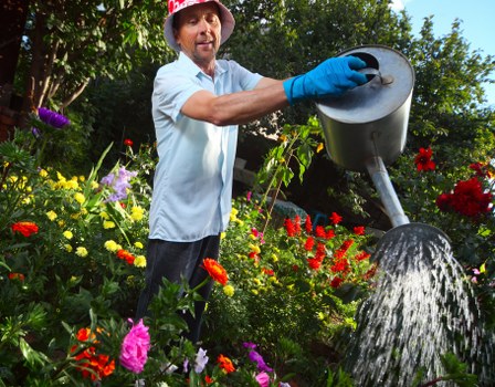 A man wearing a red hat, light blue shirt, and blue gardening gloves is watering a lush garden filled with a variety of colorful flowers, including red, yellow, purple, and pink blooms. He holds a black watering can, tilting it to pour water over the plants, with water flowing out in a gentle stream. The garden features a well-maintained lawn with dense green grass, bordered by flower beds and hedges, and is set against a backdrop of tall trees with green foliage. The scene appears to be outdoors on a bright, sunny day, with natural light illuminating the vibrant plant colors and lush foliage, reflecting typical gardening activities in a landscaped garden in Seven Kings, UK. This setting demonstrates proper outdoor maintenance and plant care, embodying the services offered by Gardening Services Seven Kings for landscaping, lawn care, and garden upkeep.