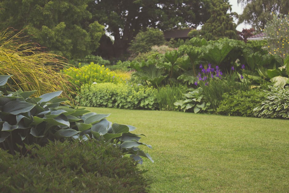 A man with a neatly styled haircut, wearing a checkered shirt and a black apron, is using a lawn mower on a well-maintained grassy garden area. The garden features a border of lush, trimmed hedges and
