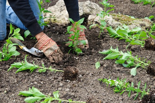 Custom garden design by Seven Kings gardening experts